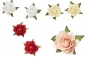 Preview: Streu-Rosen - ca. 20mm - Box mit 20 Stk. - verschiedene Farben