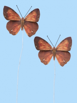 Schmetterlinge XI - rot/braun - ca. 6cm - 2 Stück - Kopie