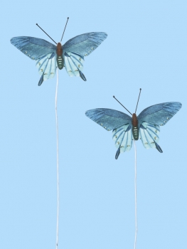 Schmetterlinge XIV - blau - ca. 6cm - 2 Stück