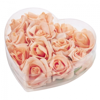 Rosen - lachs - 50mm - Herzbox mit 12 Stk.