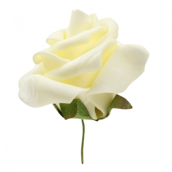 Rosen - creme - 50mm - Herzbox mit 12 Stk.
