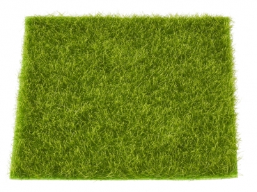 Gras-Matte - ca. 14 x 14 cm