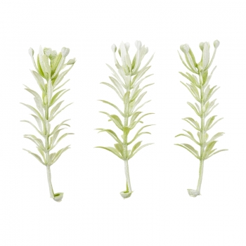 Mini-Zweig - ca. 5cm -  6 Stück - grau/grün