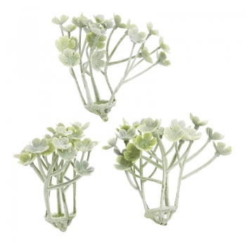 Mini-Gewächs - ca. 5cm -  6 Stück - grün/grau