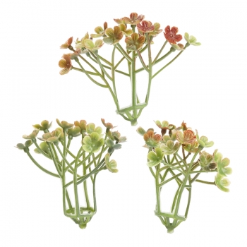Mini-Gewächs - ca. 5cm -  6 Stück - grün-braun