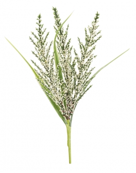 Pick III - ca. 18 cm - creme