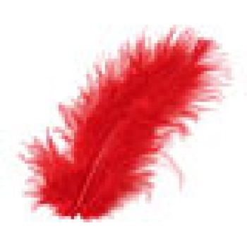 Marabu-Federn - rot - Beutel mit 10 Stück