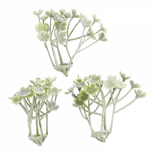 Mini-Gewächs - ca. 5cm -  6 Stück - grün/grau
